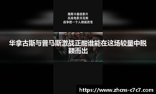 c7娱乐