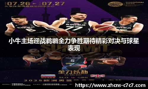 小牛主场迎战鹈鹕全力争胜期待精彩对决与球星表现