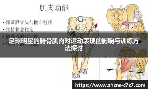 足球明星的胯骨肌肉对运动表现的影响与训练方法探讨