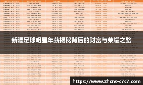 新疆足球明星年薪揭秘背后的财富与荣耀之路